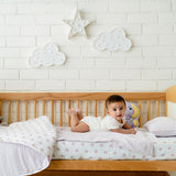 Baby Organic Cotton Bed Sheets, Pillow Covers & Pillow Filler Set - Trusty Tusky