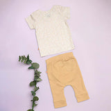 Fall Top and Pant Set - Greendigo Organic Clothing