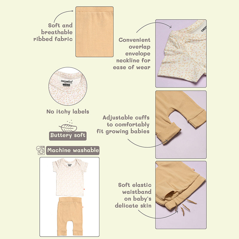 Fall Top and Pant Set - Greendigo Organic Clothing